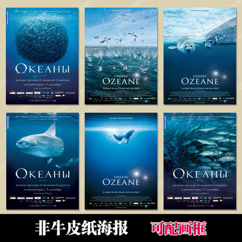一比一仿海地护照